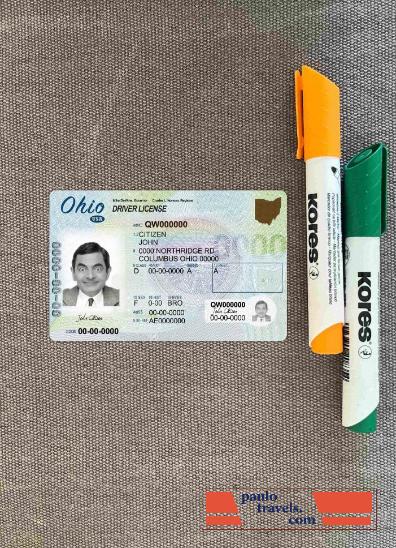 USA Ohio DL photolook FRONT PSD template